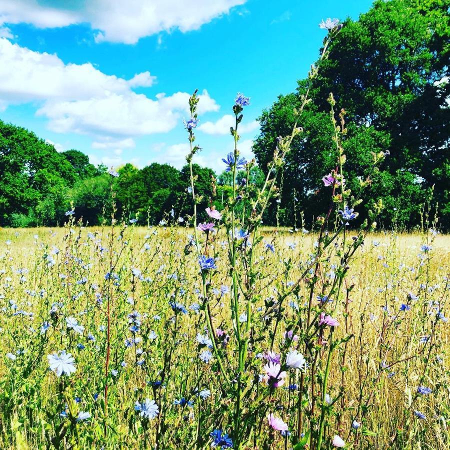 Starnash Farmhouse Bed And Breakfast Hailsham Buitenkant foto