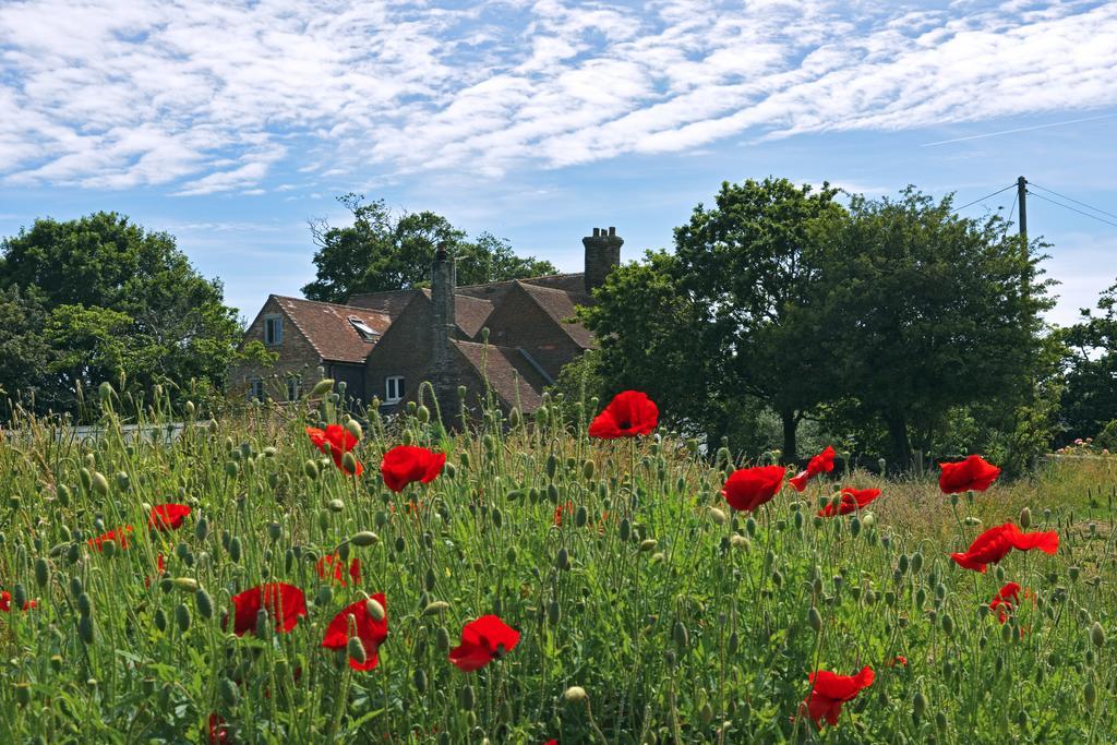 Starnash Farmhouse Bed And Breakfast Hailsham Kamer foto